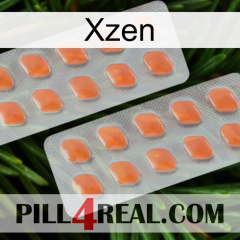 Xzen 27